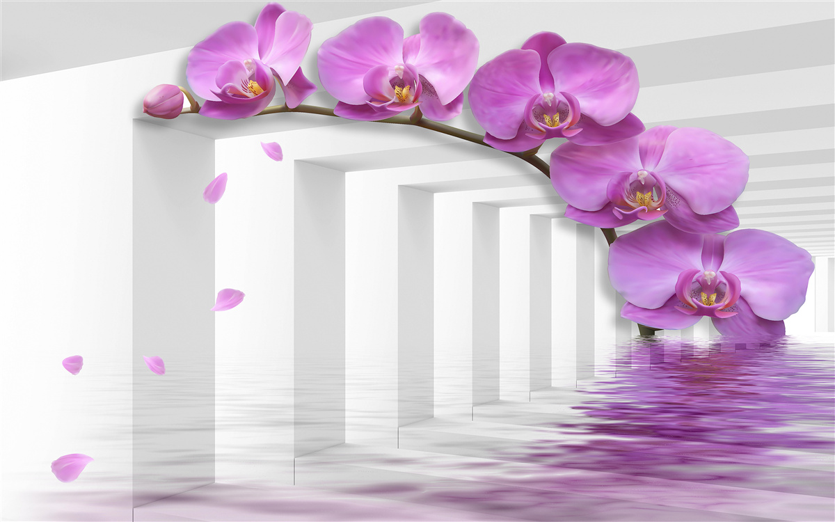 Fototapeten Tor mit lila Orchideen dekoriert
