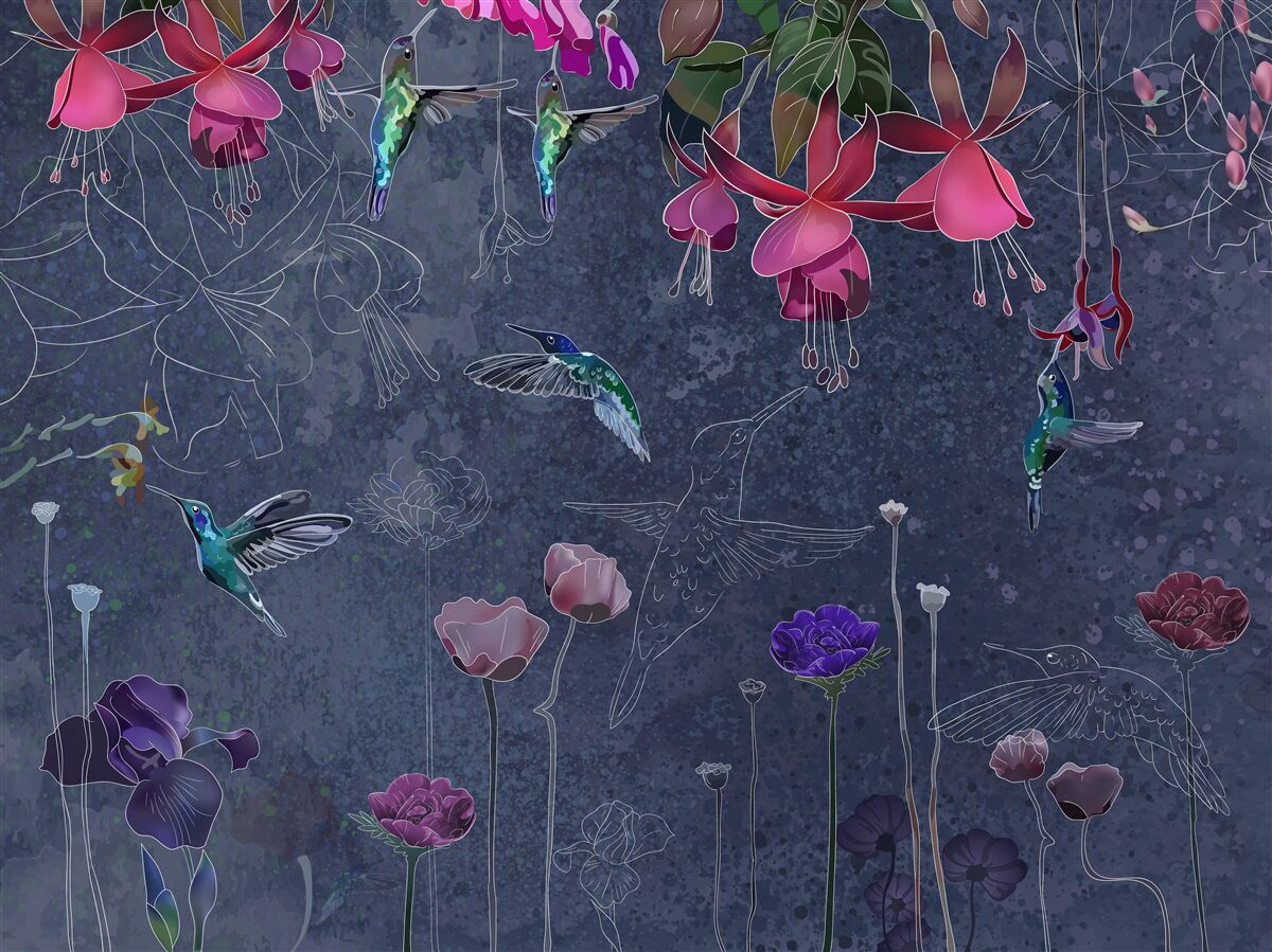 Fototapeten Blumennektar ist ein Getränk für Koliber