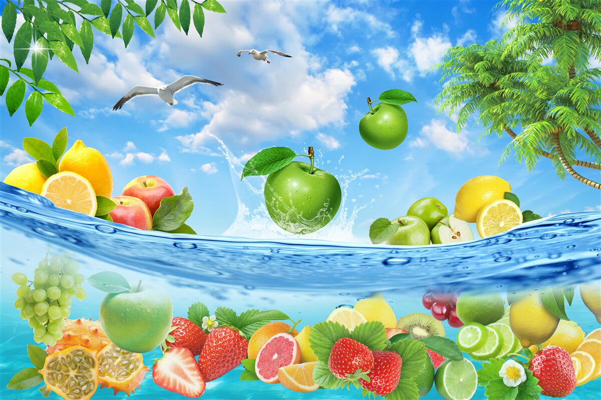 Fototapeten Frische von Meeresfrucht