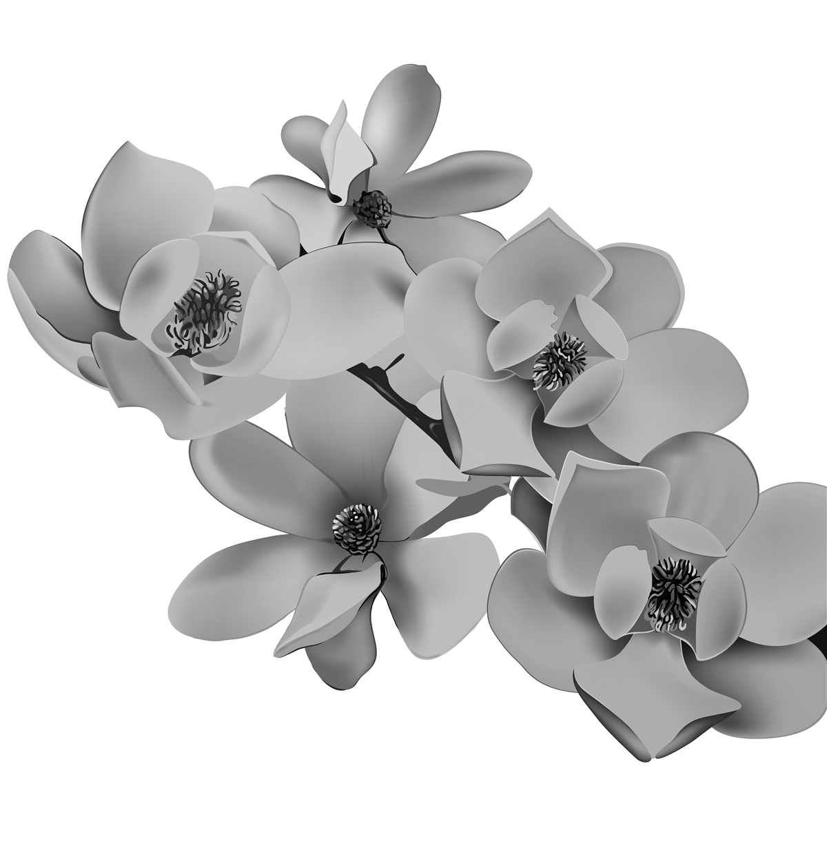 Fototapeten Scharlachrote Blumen auf einem sauberen weißen Hintergrund