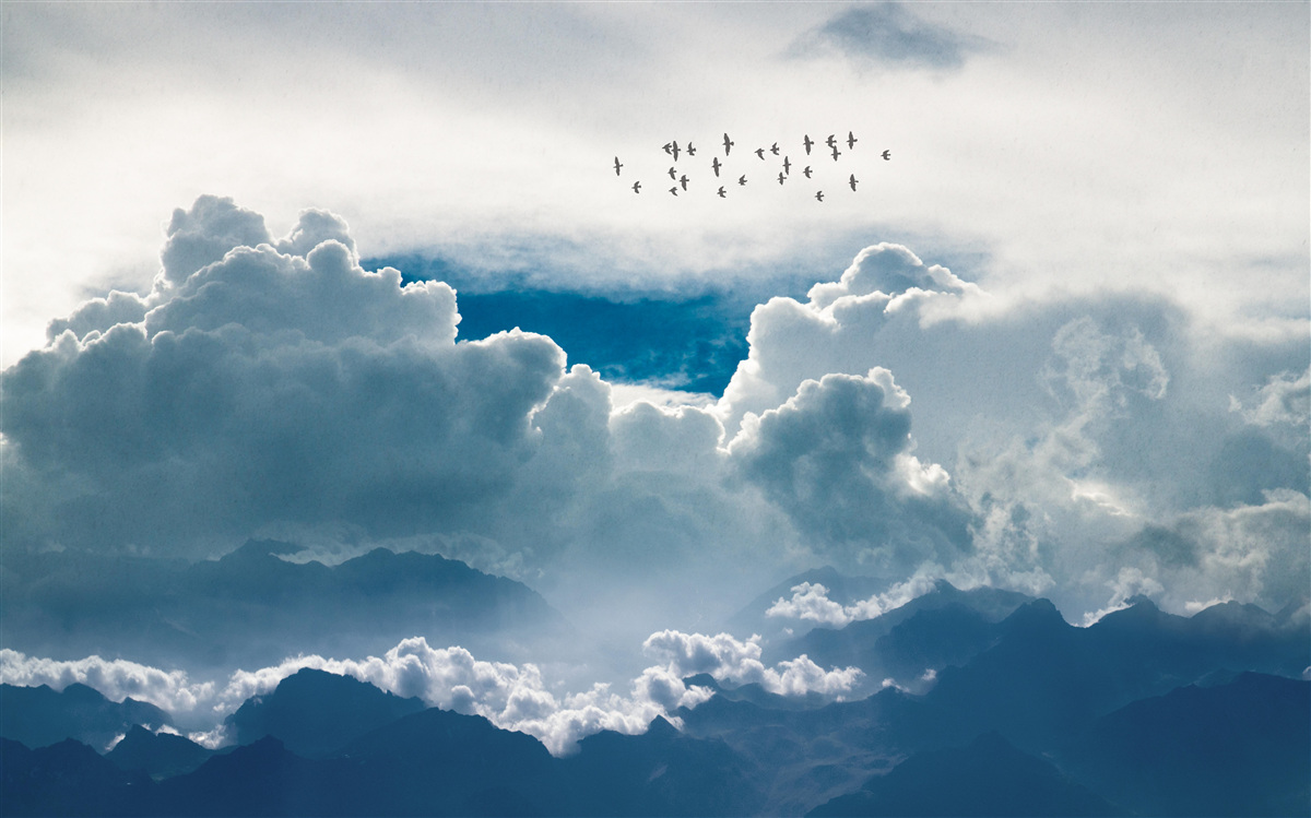 Fototapeten Eine Gruppe von Vögeln über dichte Wolken