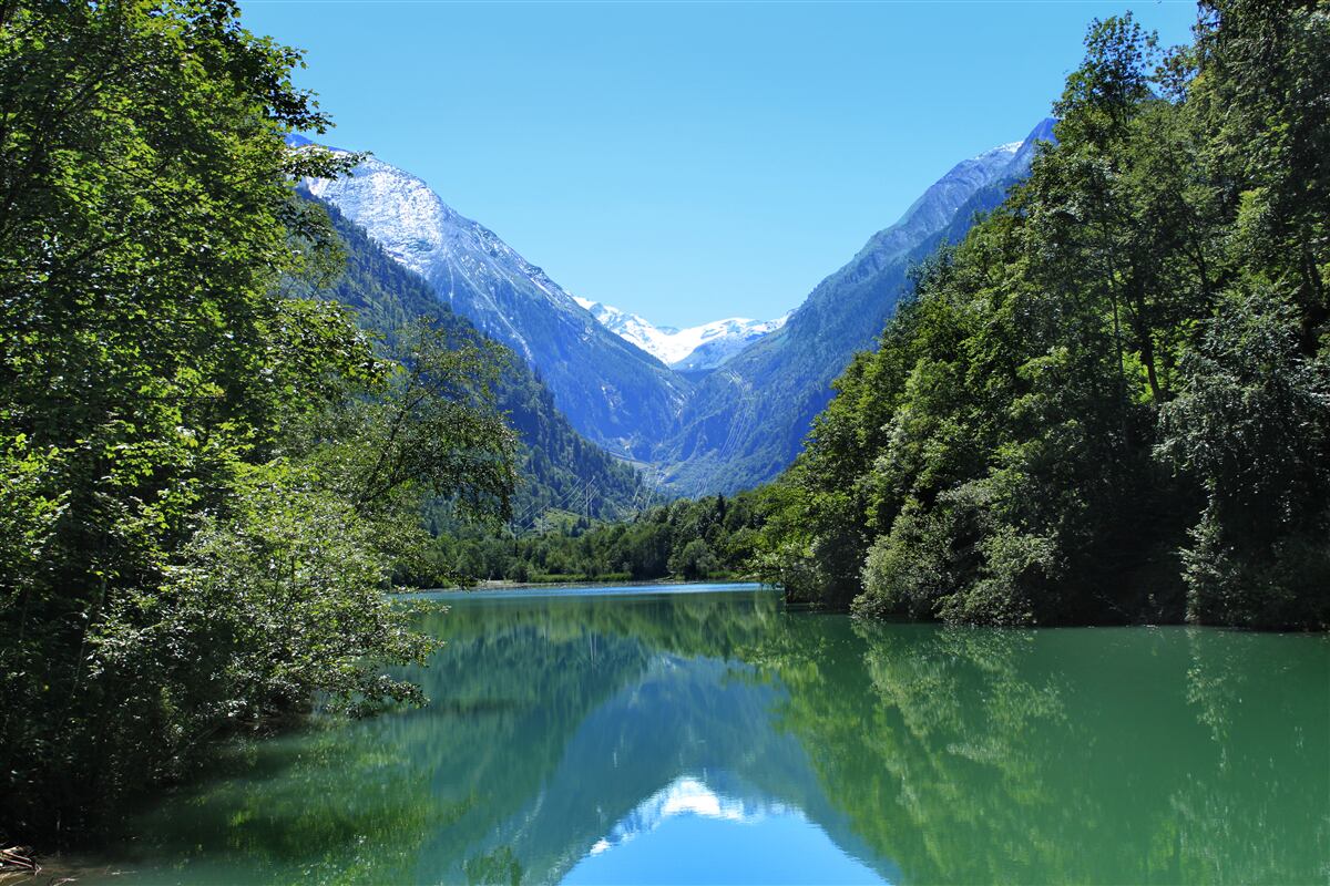 Fototapeten Ein ruhiges Wasserreservoir in einem dichten Wald an den Hängen der Berge versteckt