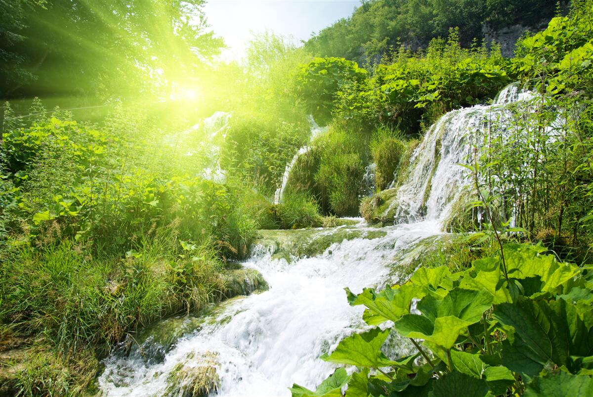 Fototapeten Ein mysteriöser Wasserfall in einem Bergwald