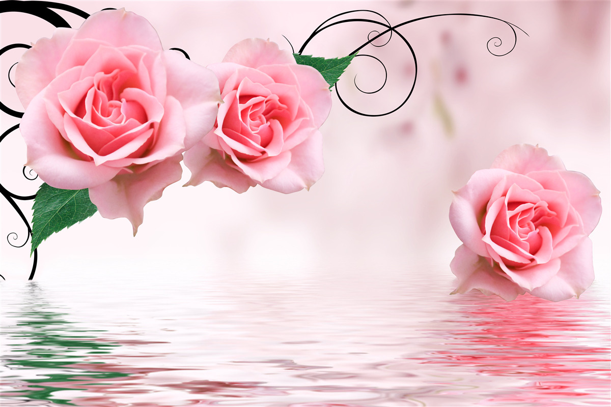 Fototapeten Reflexion von rosa Rosen in Wasser