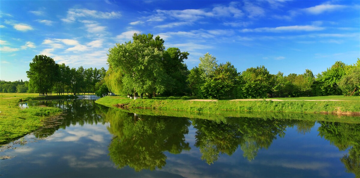 Fototapeten Der Fluss ist von Bäumen umgeben