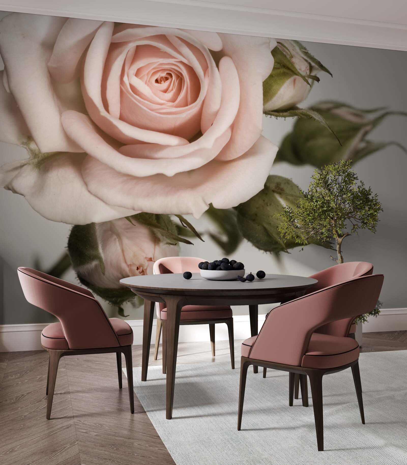 Fototapeten Rose in einem Schatten von Pulverrosa und seinen Blütenknospen