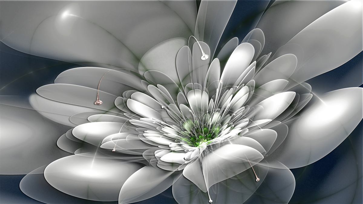 Fototapeten Große weiße Blume