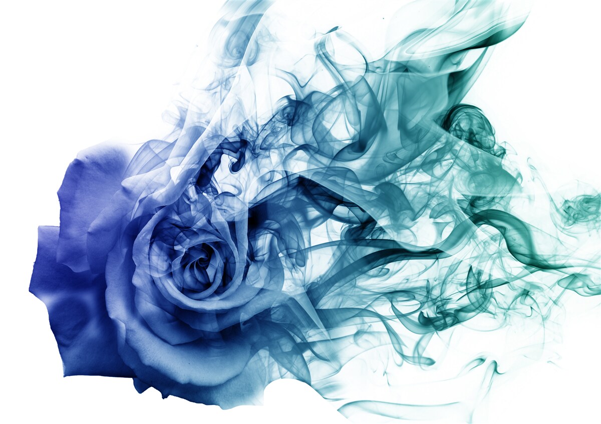Fototapeten Blaue Rose im Nebel des himmlischen Blaues