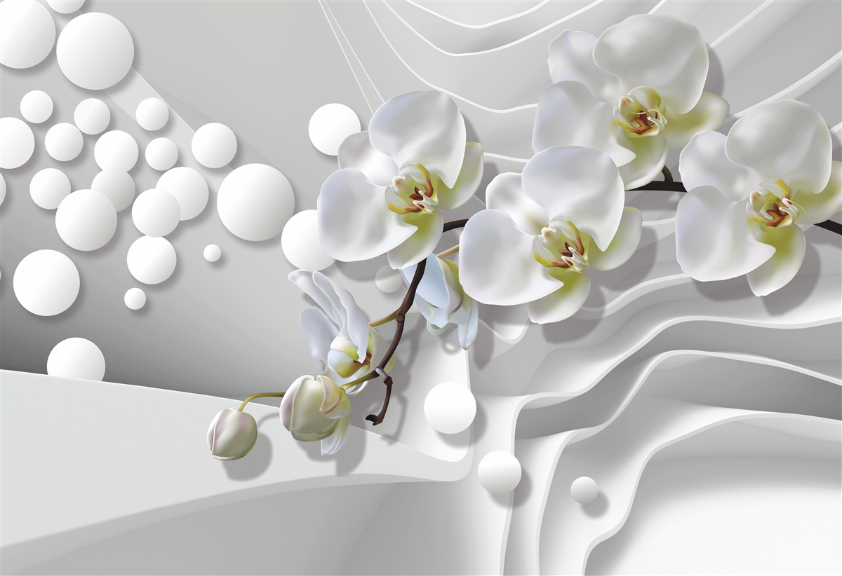 Fototapeten Orchidee mit einem abstrakten weißen Zweig