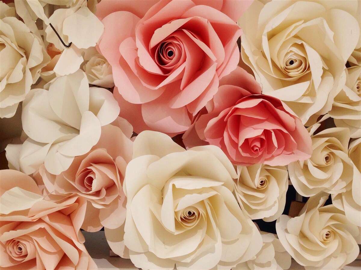 Fototapeten Ein wunderschöner Rosenstrauß in Sahne und Rosa