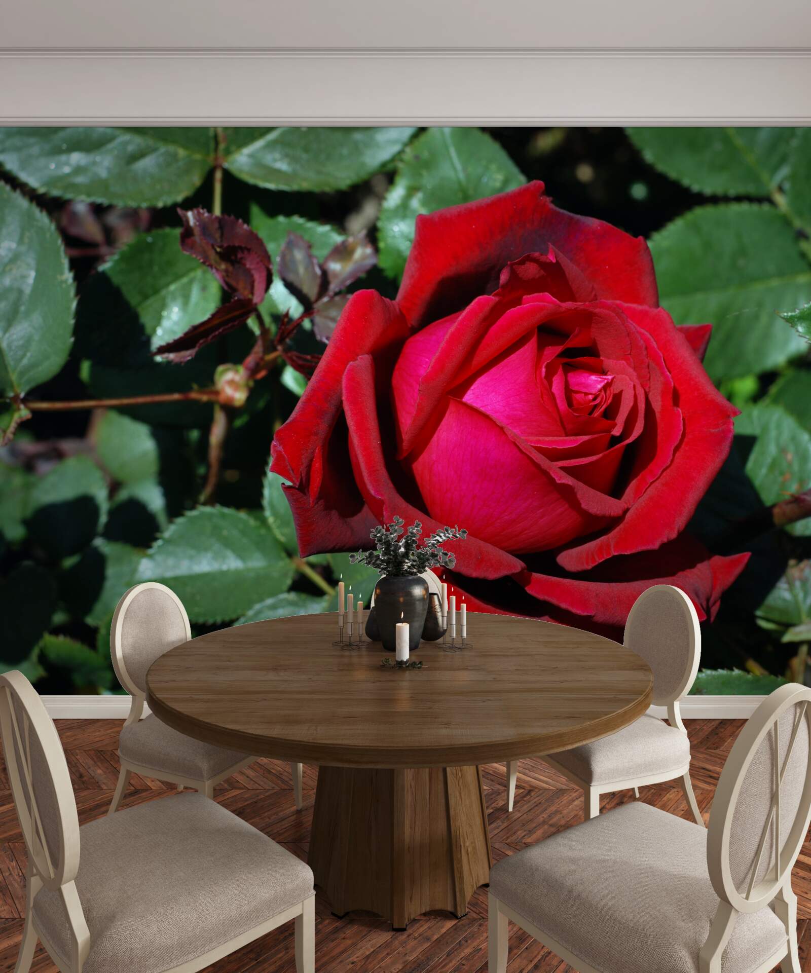 Fototapeten Eine scharlachrote Rose blühte im Garten