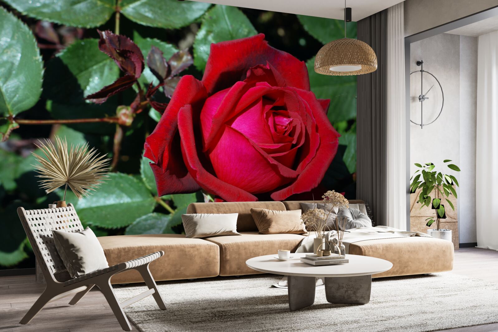 Fototapeten Eine scharlachrote Rose blühte im Garten