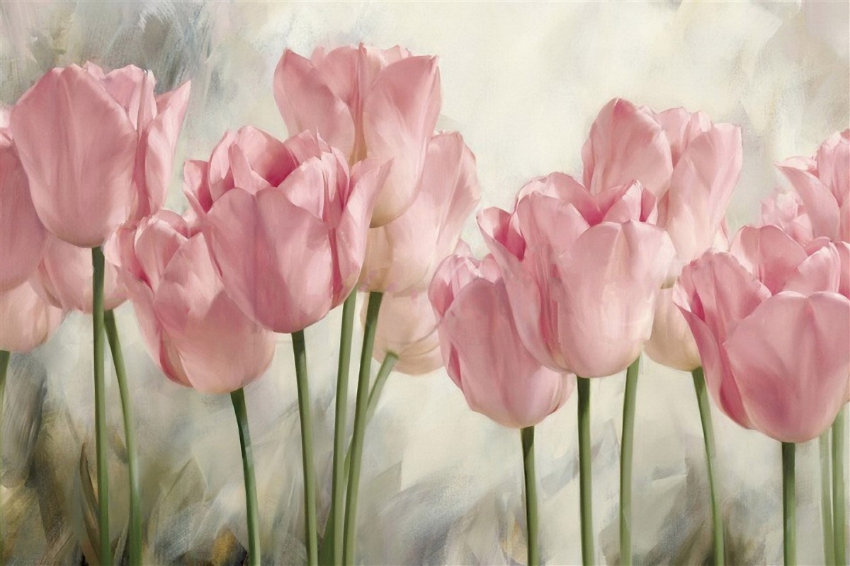 Fototapeten Zarte rosa Tulpen