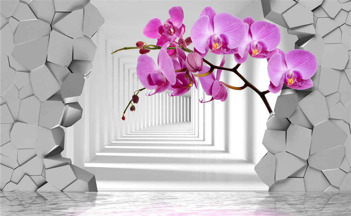 Fototapeten Orchidee durchdringt die Wand mit seinem Zweig