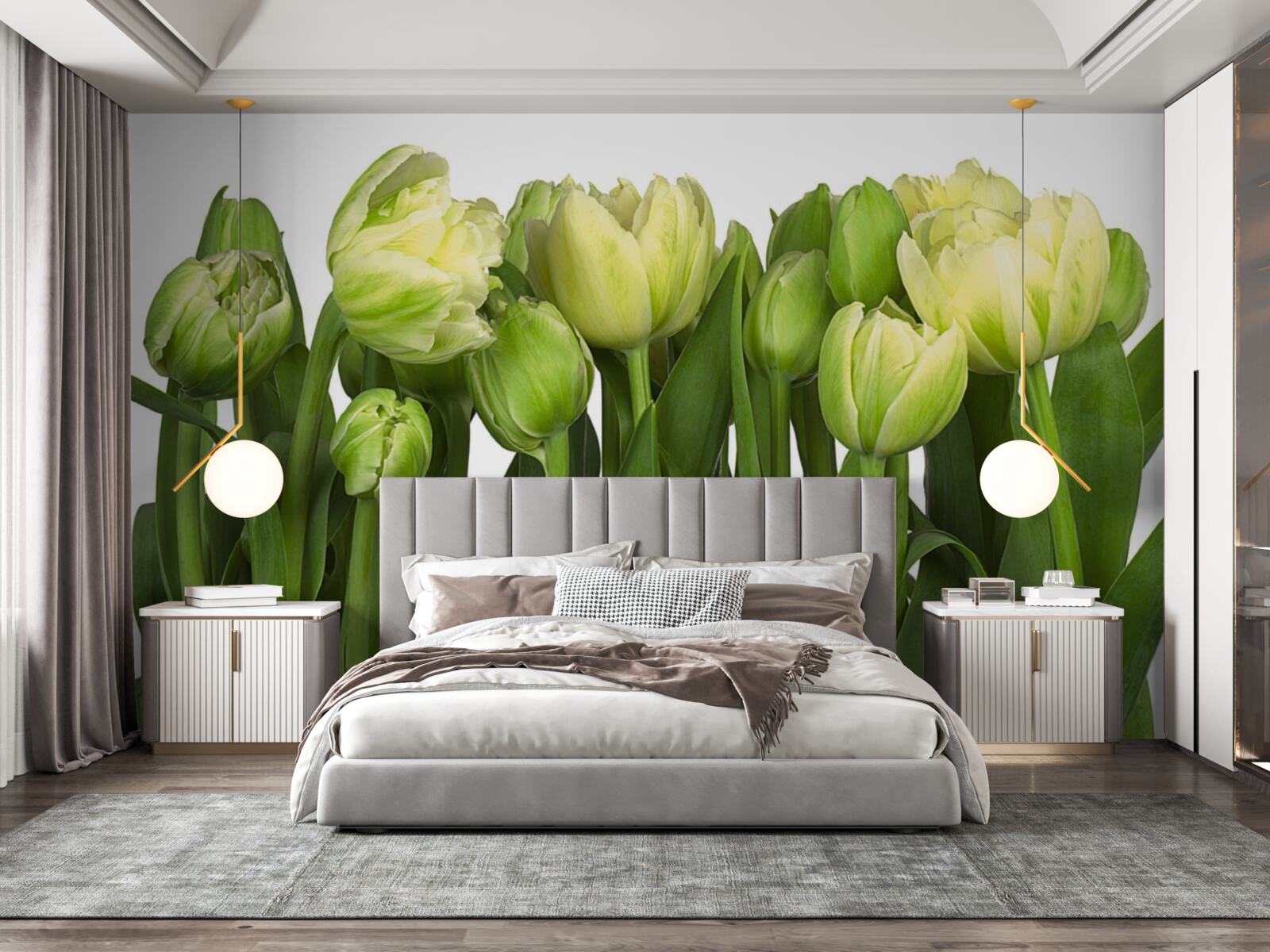 Fototapeten Ein Satz teilweise offener Lichttulpen