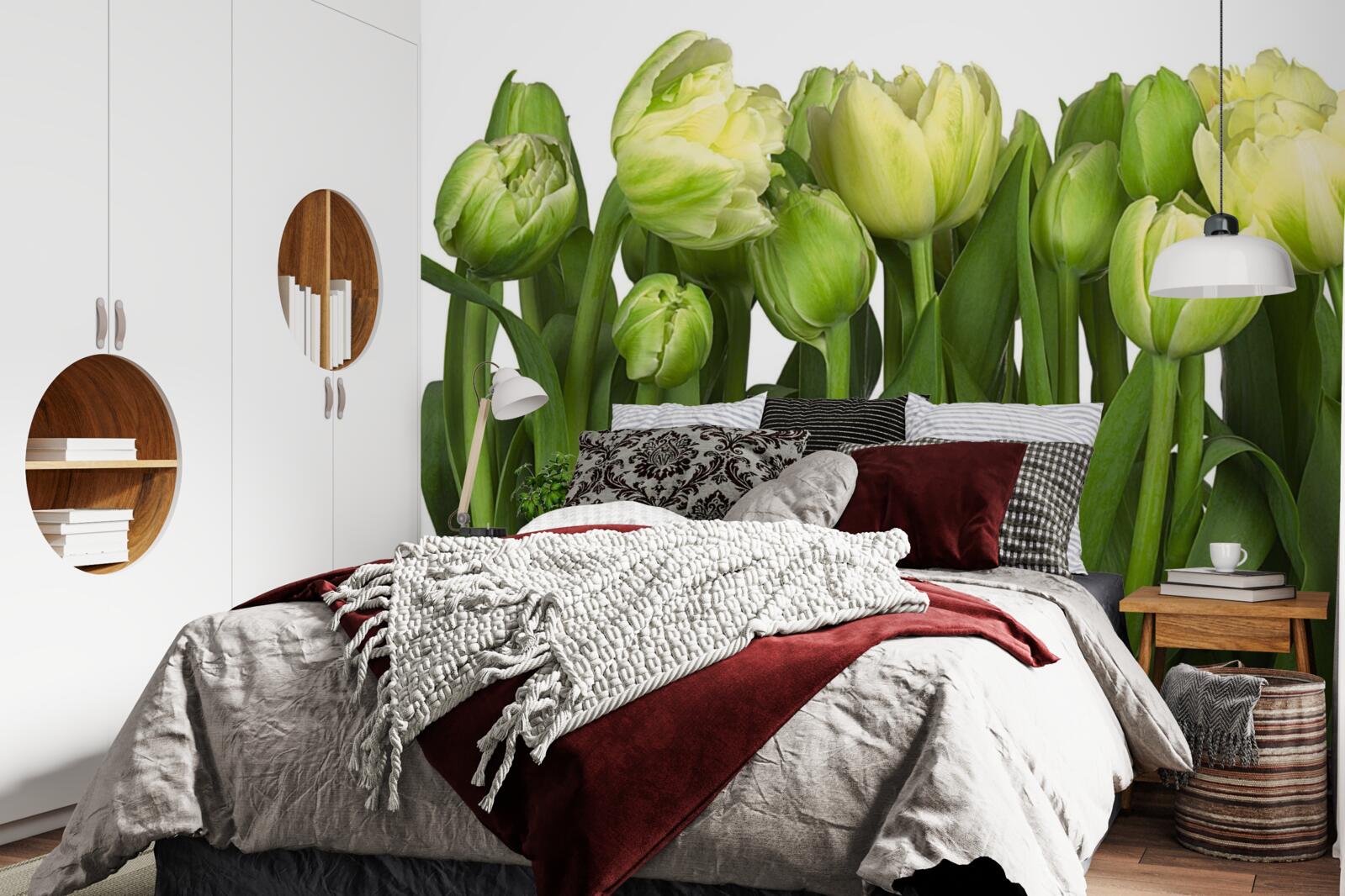 Fototapeten Ein Satz teilweise offener Lichttulpen