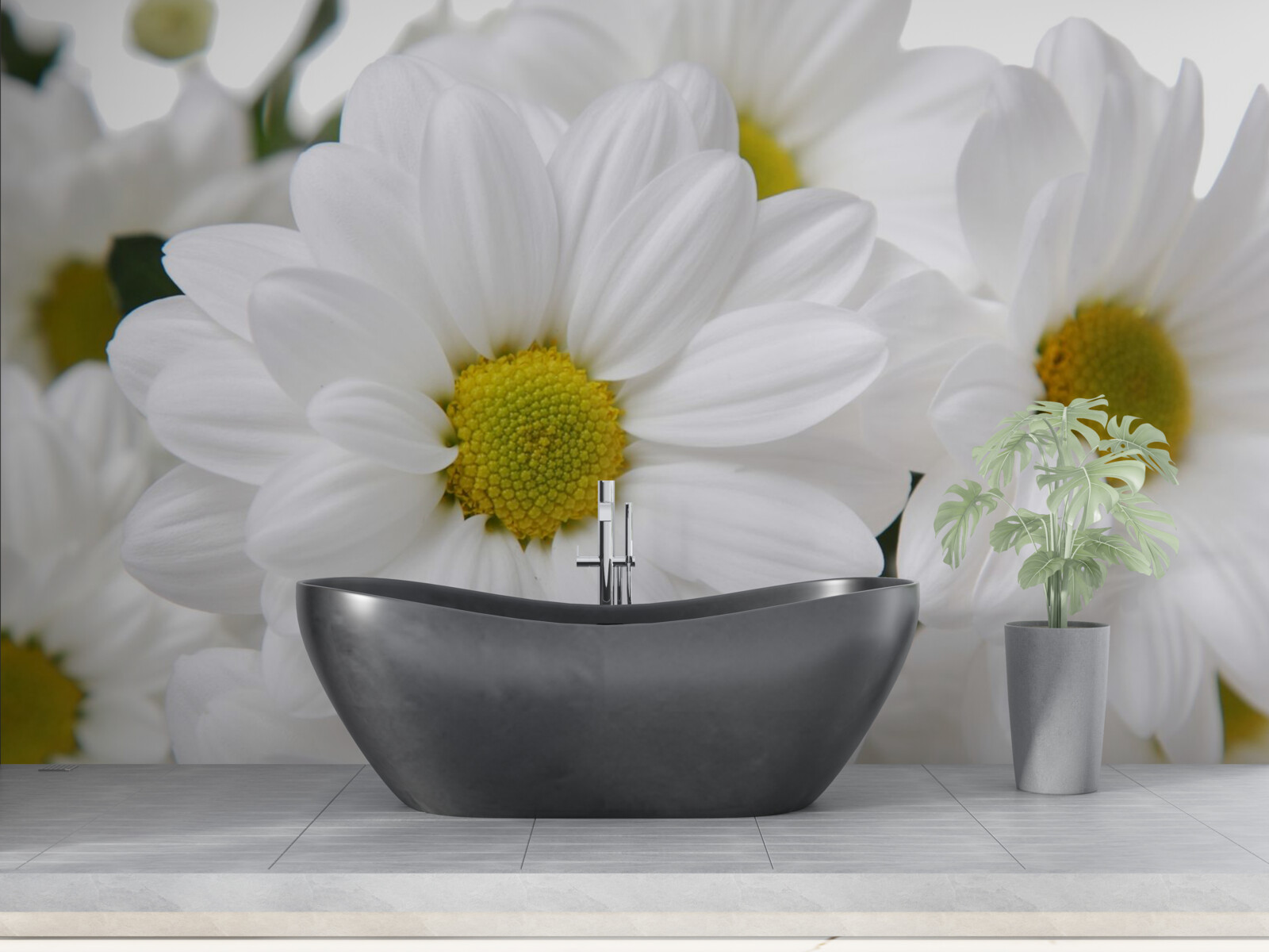 Fototapeten Schneezusammensetzung -weiße Chrysanthemen