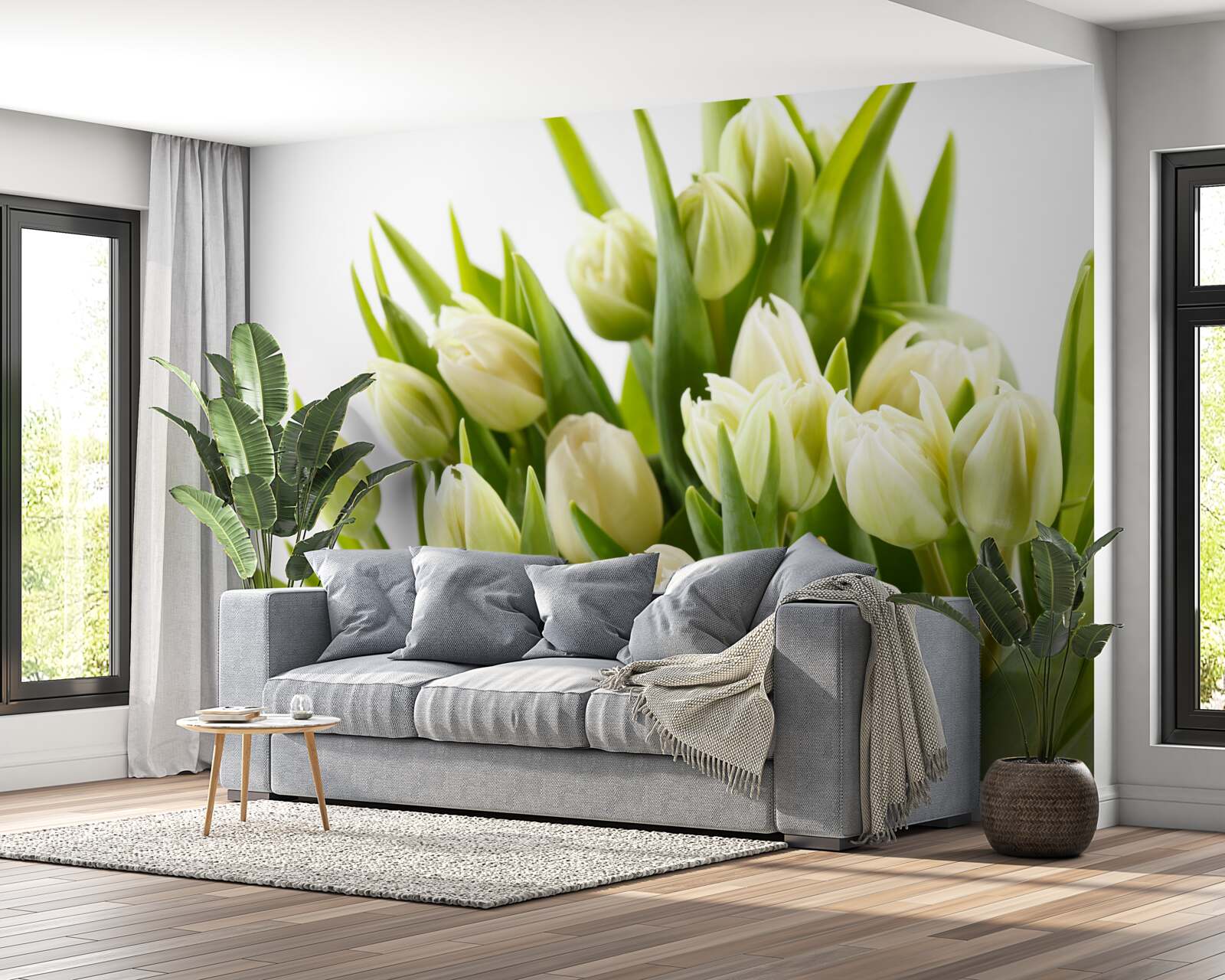 Fototapeten Ein Satz schneebedeckter Tulpen