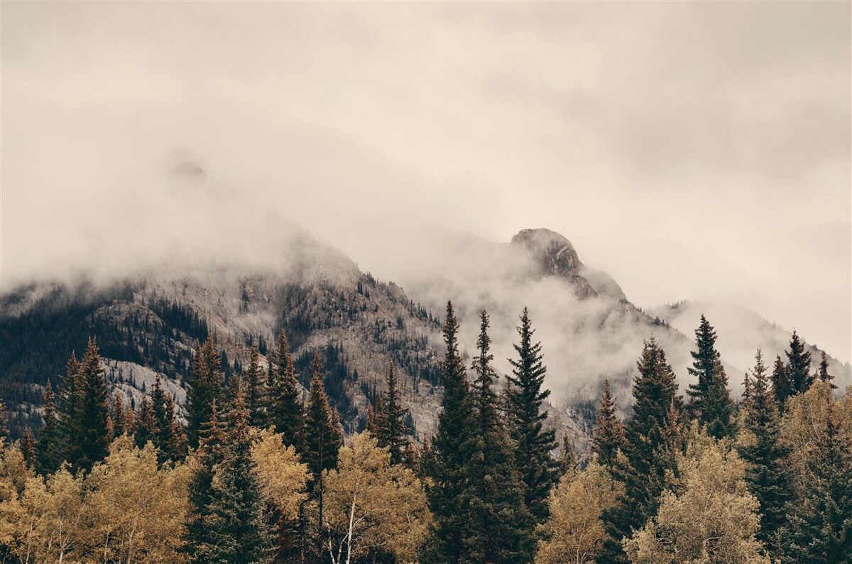 Fototapeten Die hohen Berge sind mit Nebel bedeckt