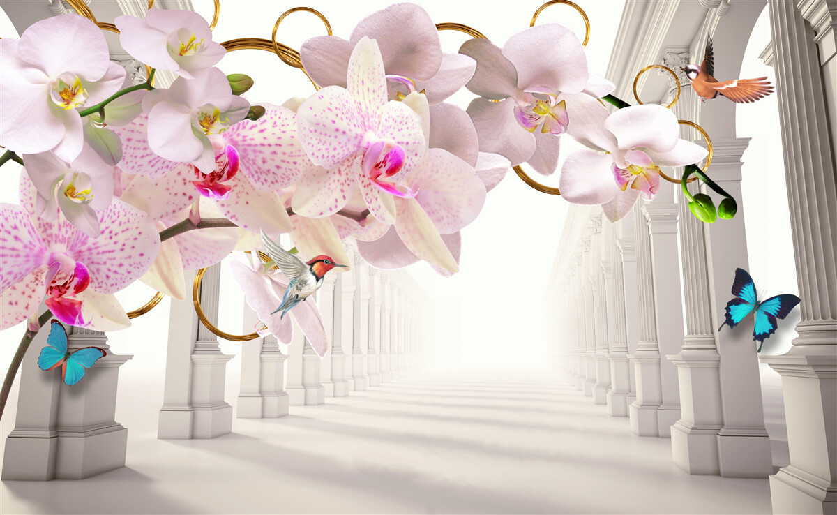 Fototapeten Weiße Bögen sind mit Orchideen und Schmetterlingen dekoriert