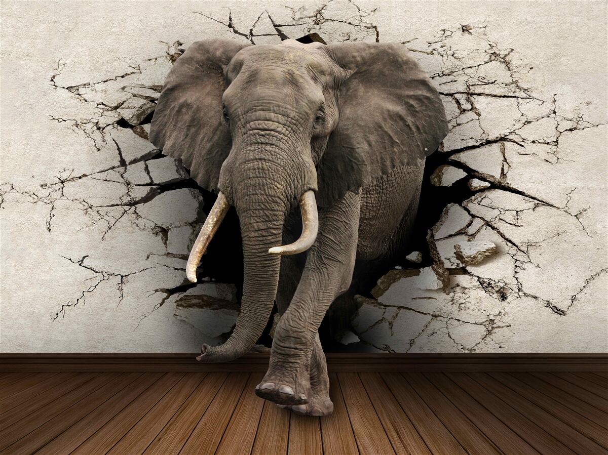 Fototapeten Ein starker Elefant zerstört eine graue Barriere