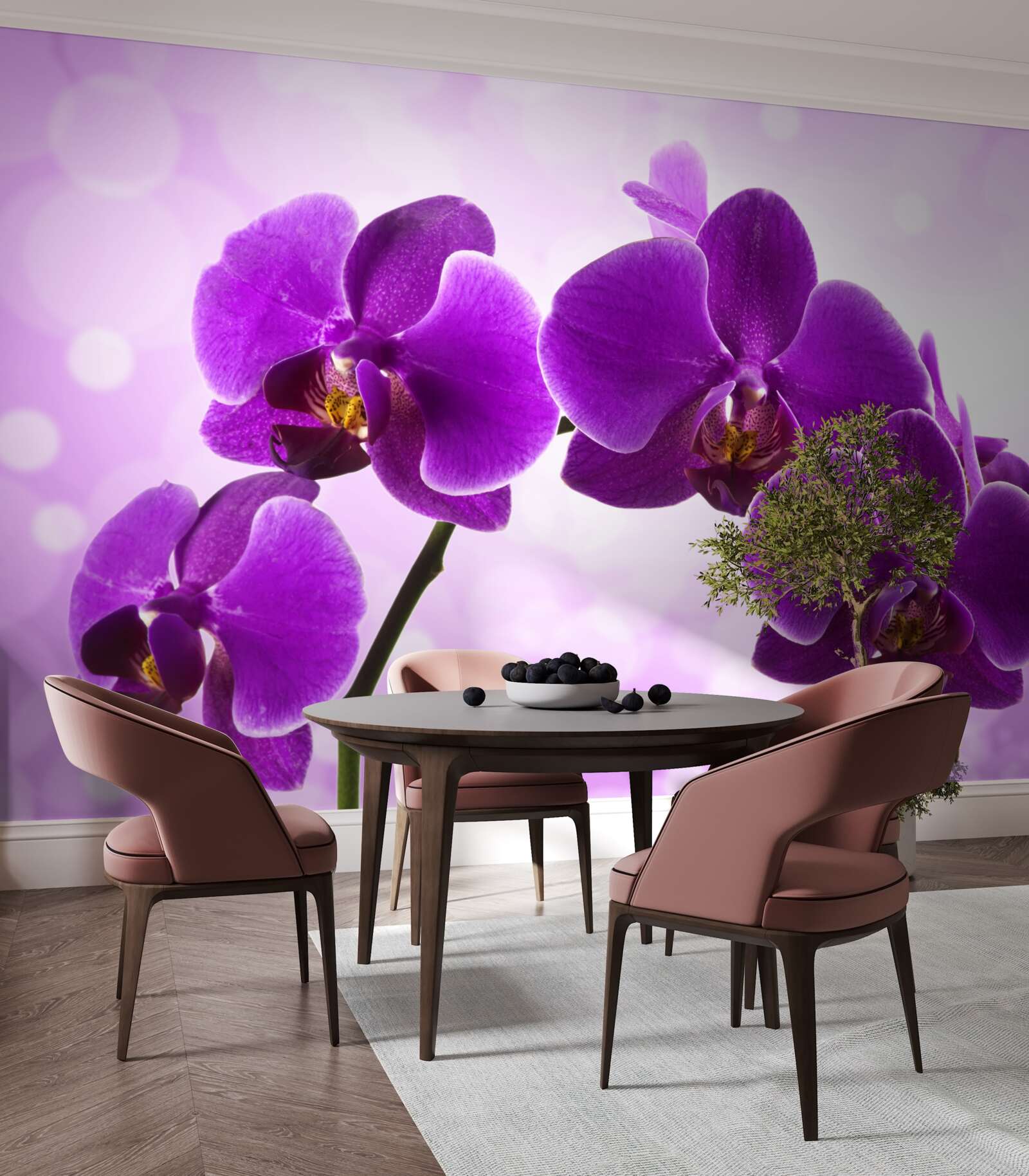 Fototapeten Tiefes lila Orchidee