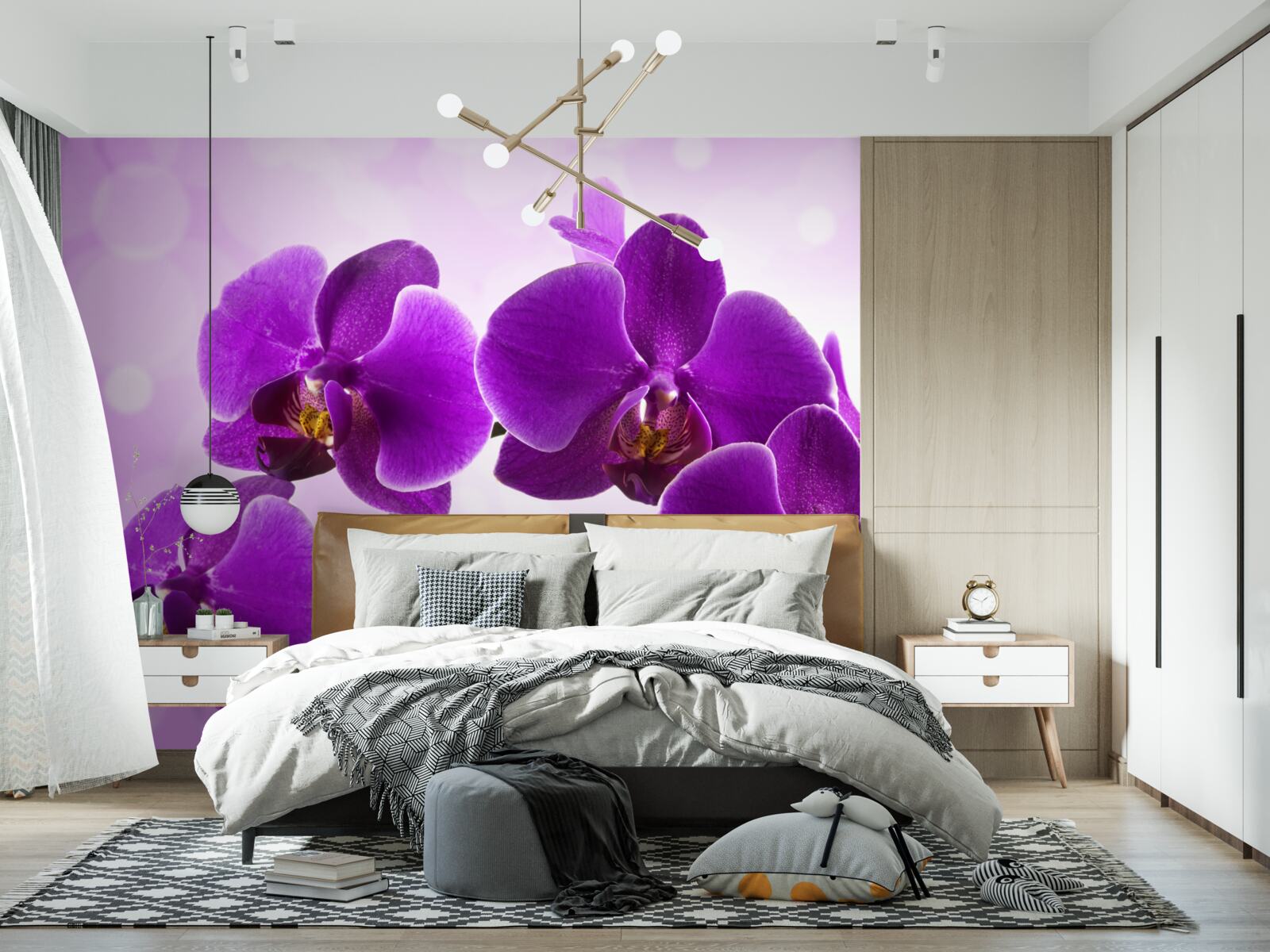 Fototapeten Tiefes lila Orchidee