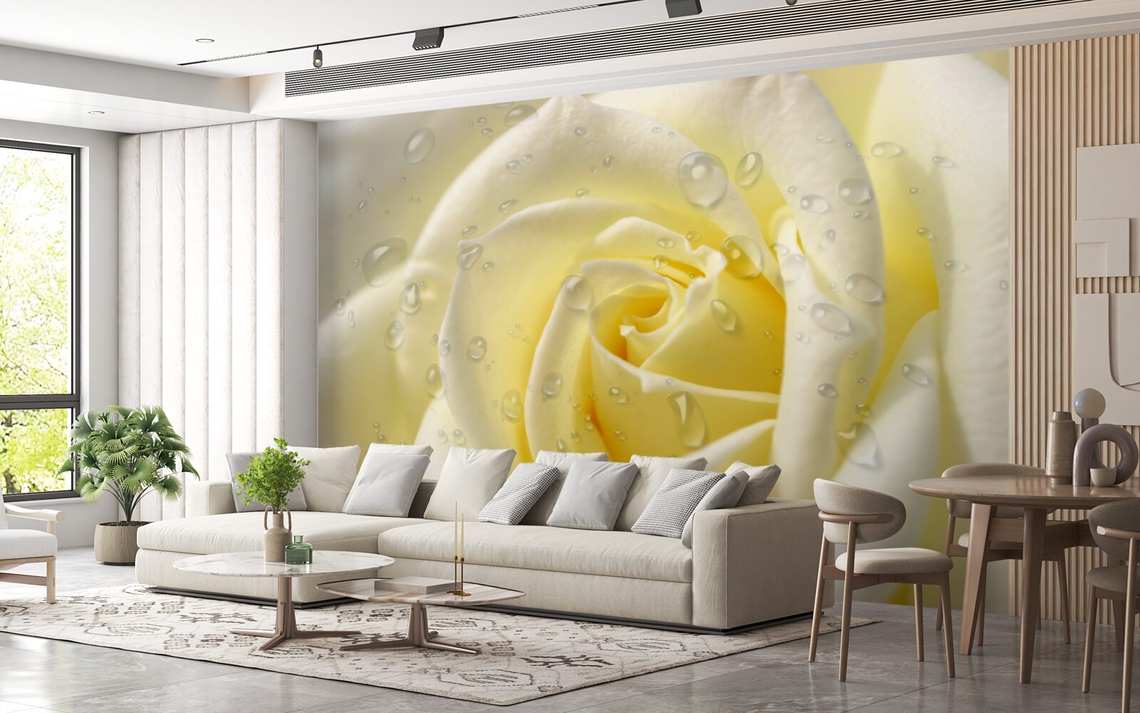 Fototapeten Regenstropfen auf gelbe Rose