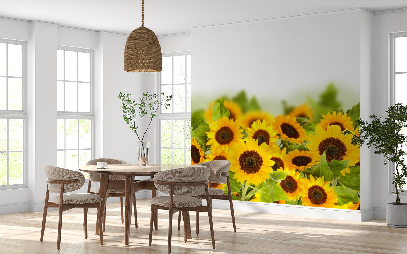 Fototapeten Sonnenblumenfeld in seiner Jugend