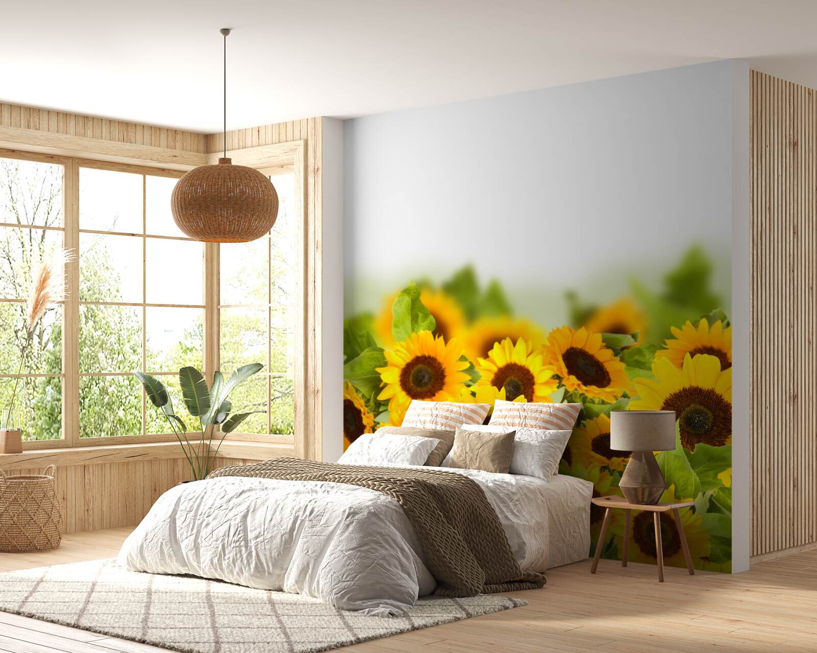 Fototapeten Sonnenblumenfeld in seiner Jugend