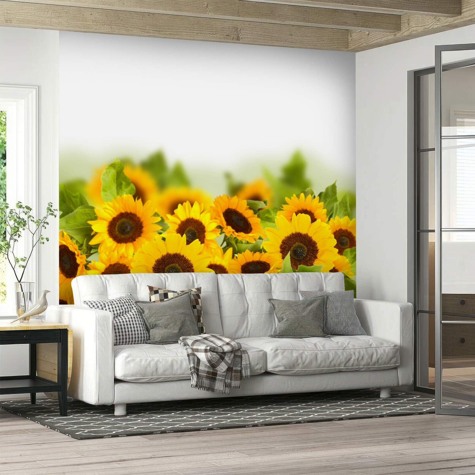 Fototapeten Sonnenblumenfeld in seiner Jugend