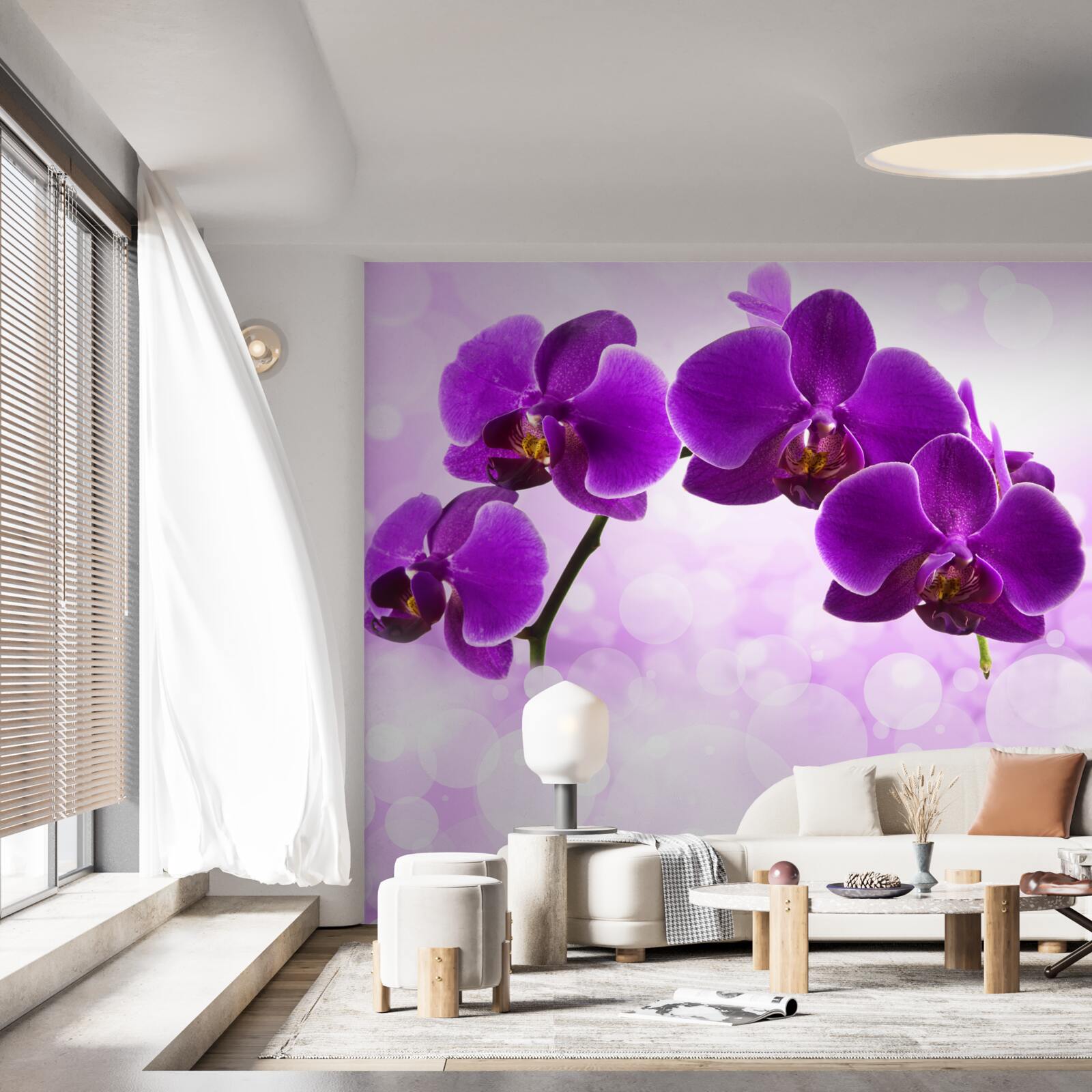 Fototapeten Orchidee mit dunkelvioletten Blüten