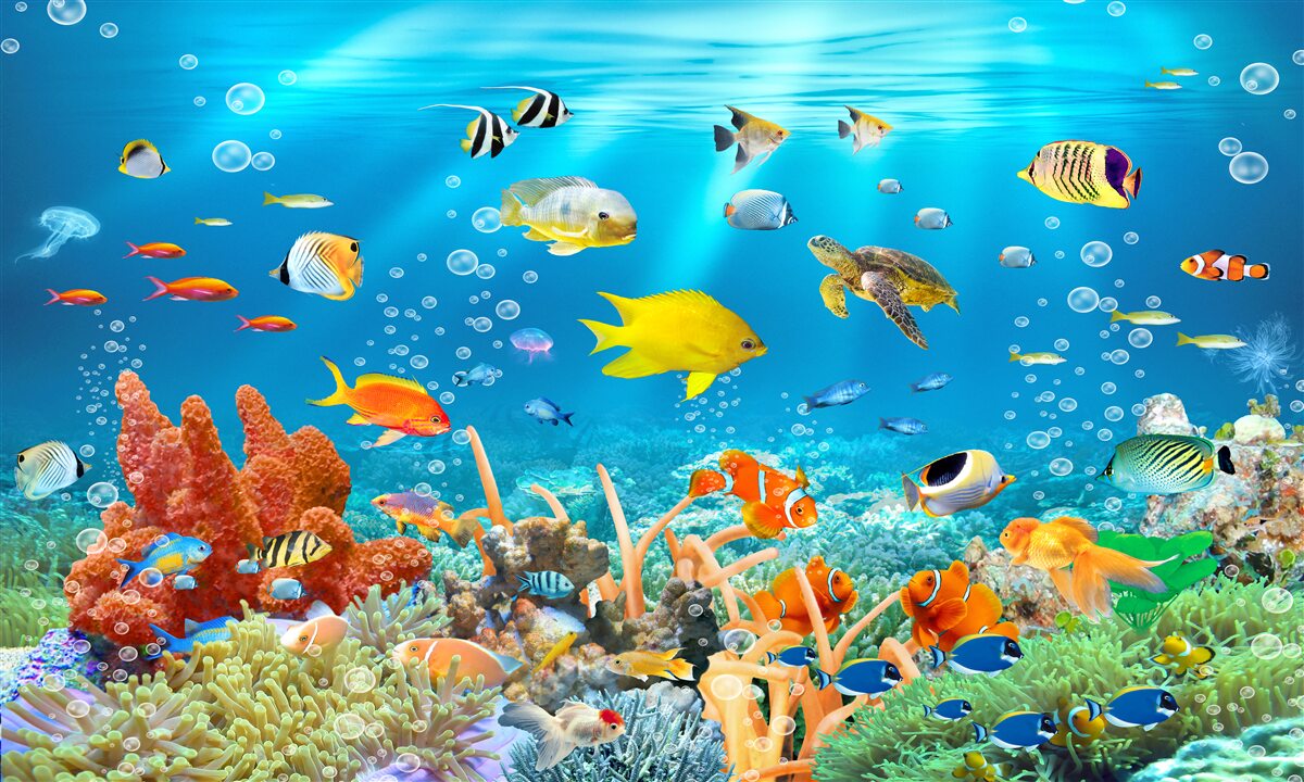 Fototapeten Faszinierende Welt unter Wasser