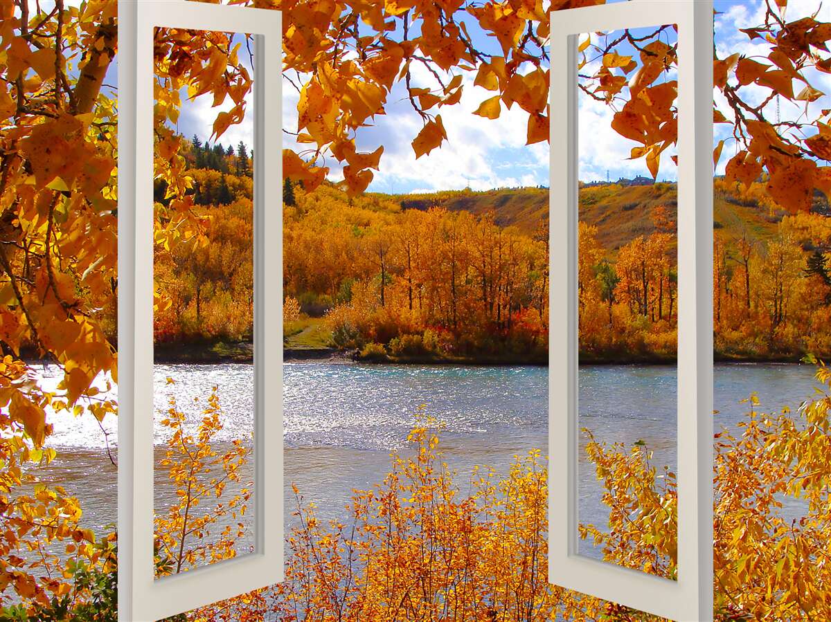 Fototapeten Zeigen Sie vom Fenster zum Herbstwald an