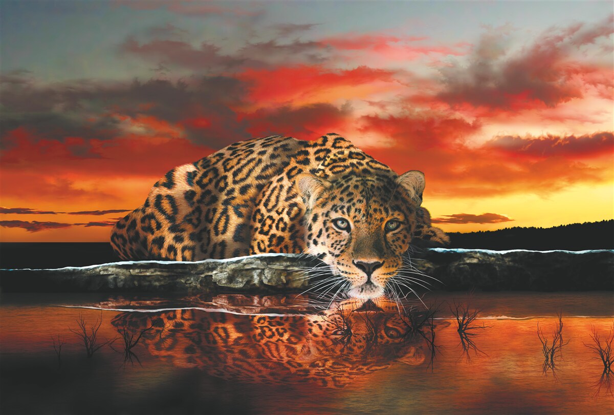 Fototapeten Reflexion des Leopards vor dem Hintergrund des Sonnenuntergangs