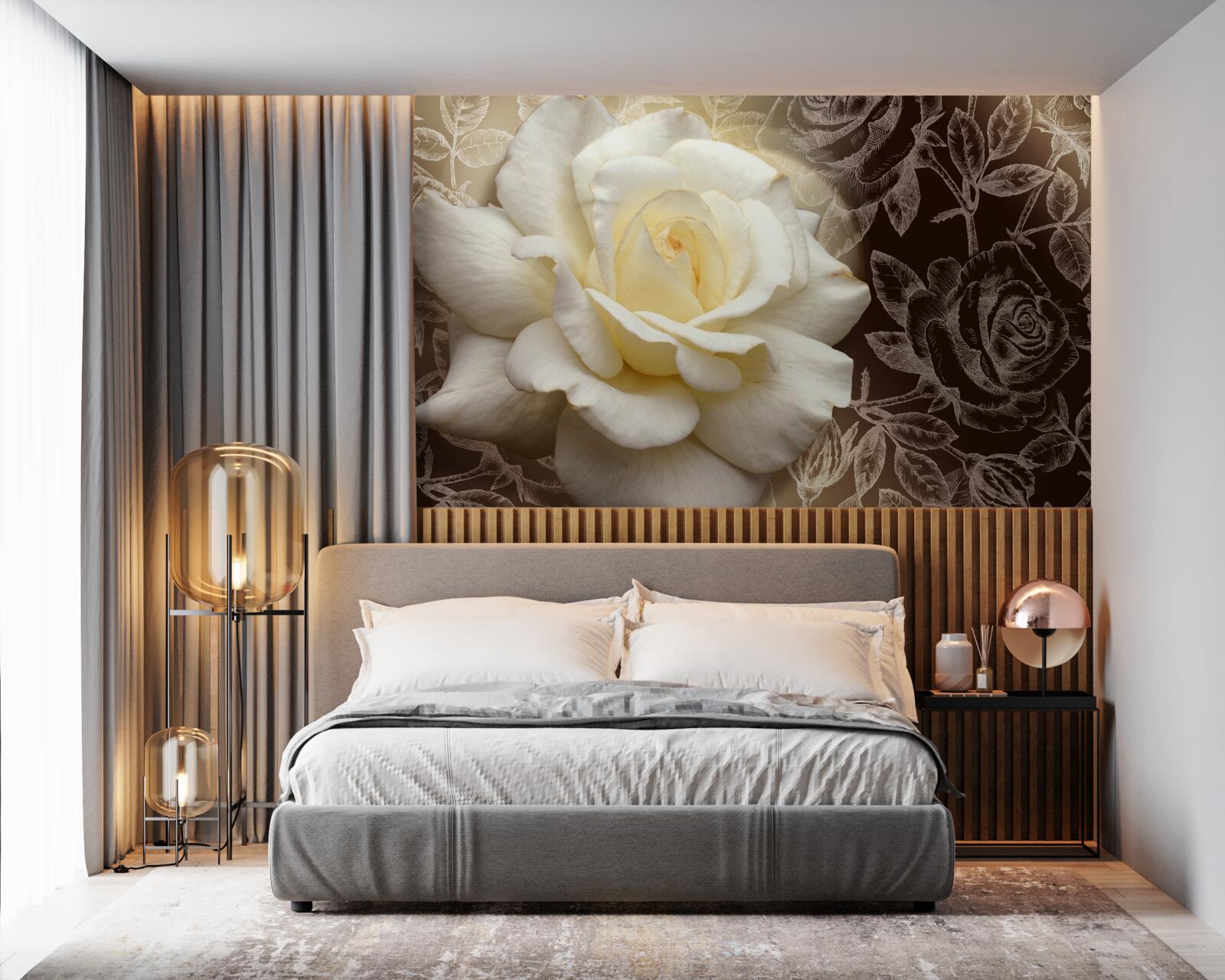 Fototapeten Große weiße Rose