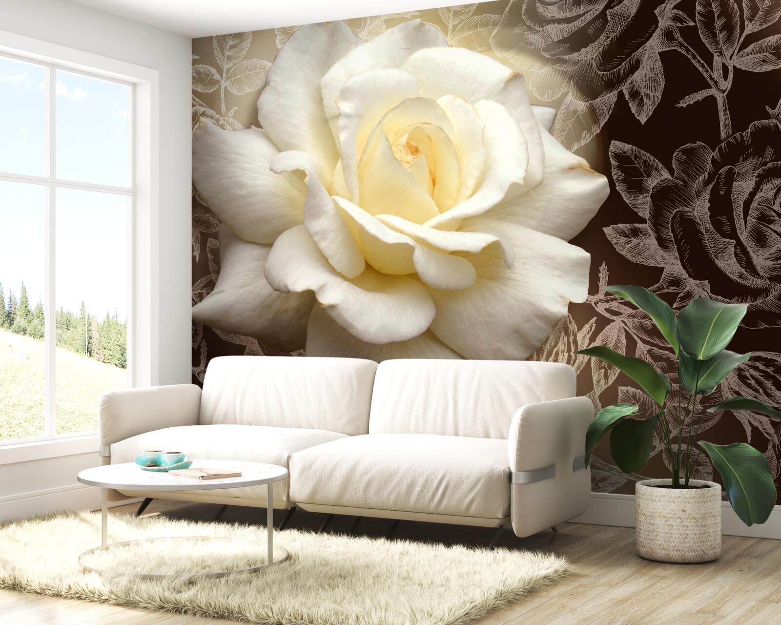 Fototapeten Große weiße Rose