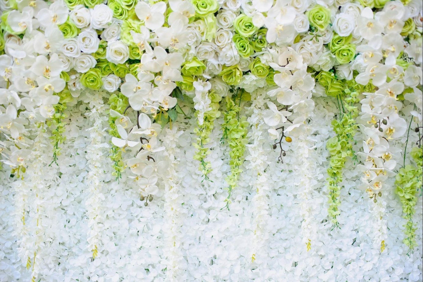Fototapeten Verschiedene Rosen und Zweige der weißen Orchidee