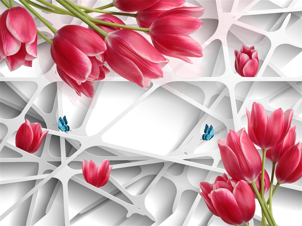 Fototapeten Schmetterlinge und scharlachrote Knospen von Tulpen