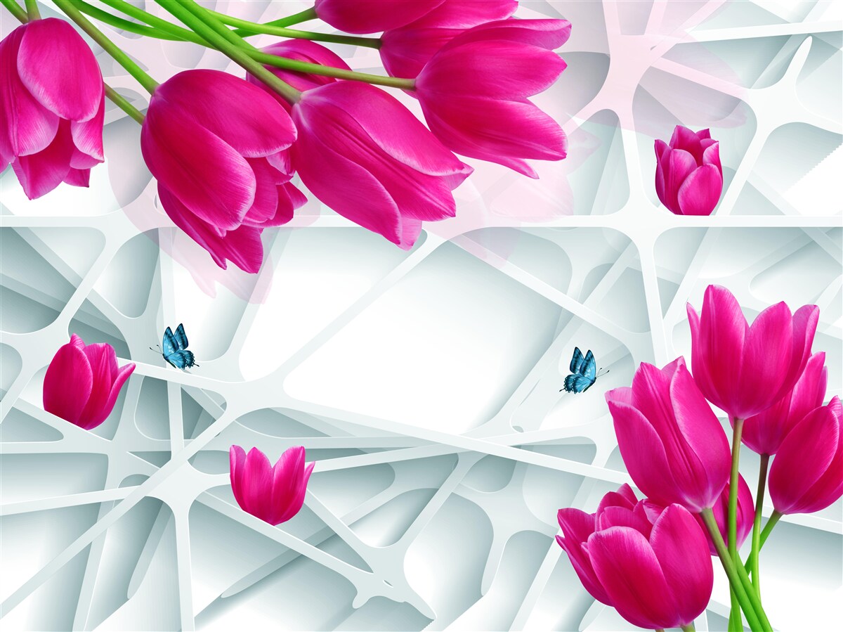 Fototapeten Tolle Knospen von rosa Tulpen