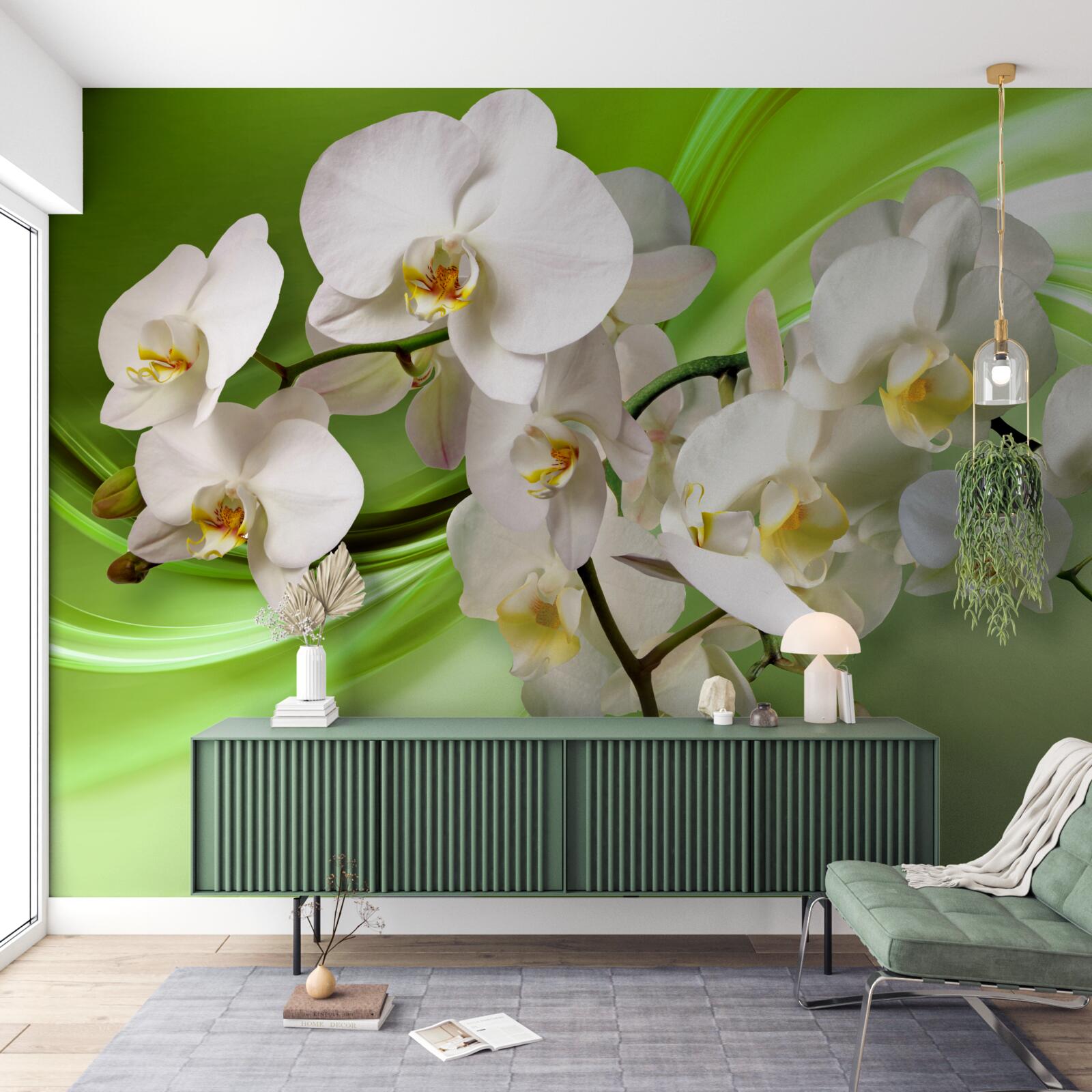 Fototapeten Weiße Orchidee auf grüner Hintergrund