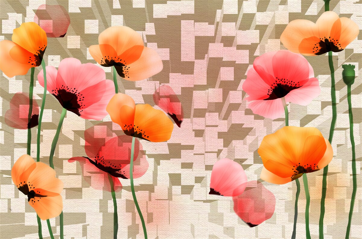 Fototapeten Ein Satz rosa und Pfirsichmohn