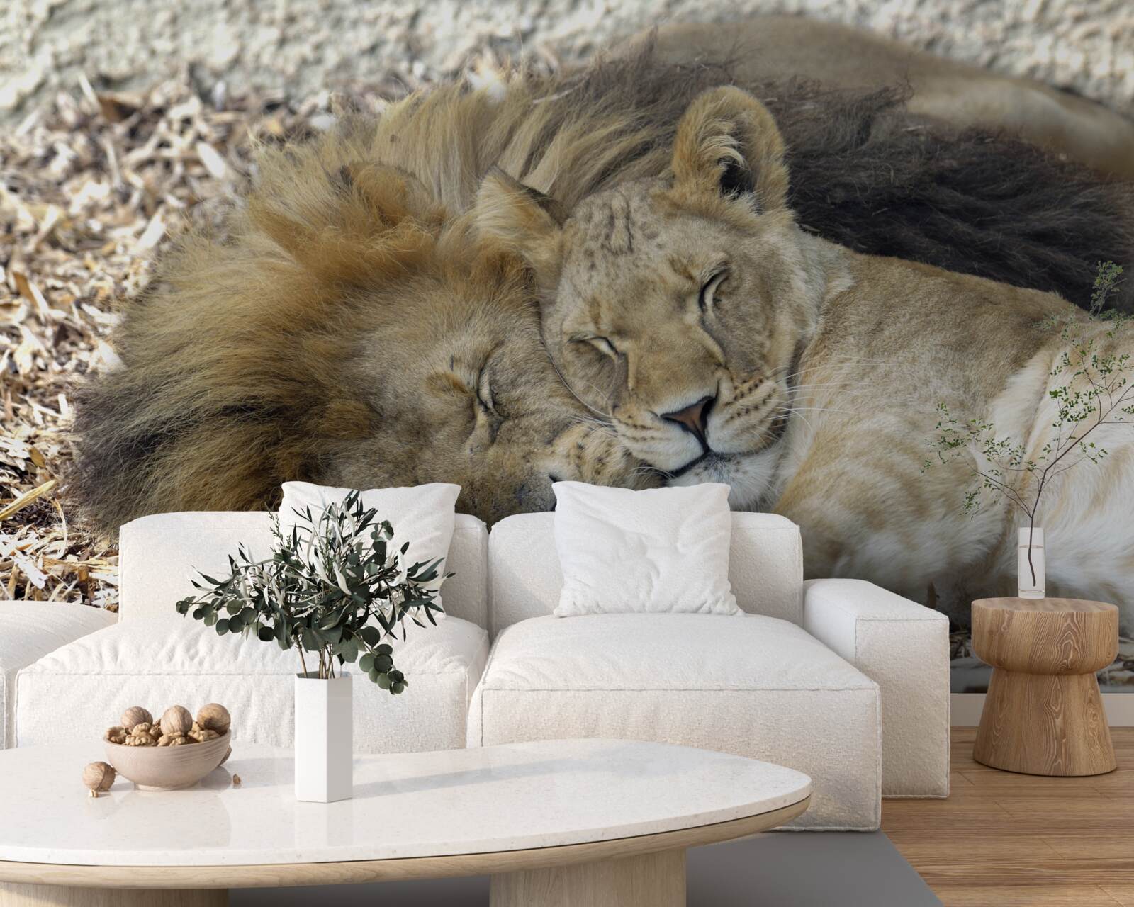 Fototapeten Löwe und Löwin, die Ehe schaffen, Sayat
