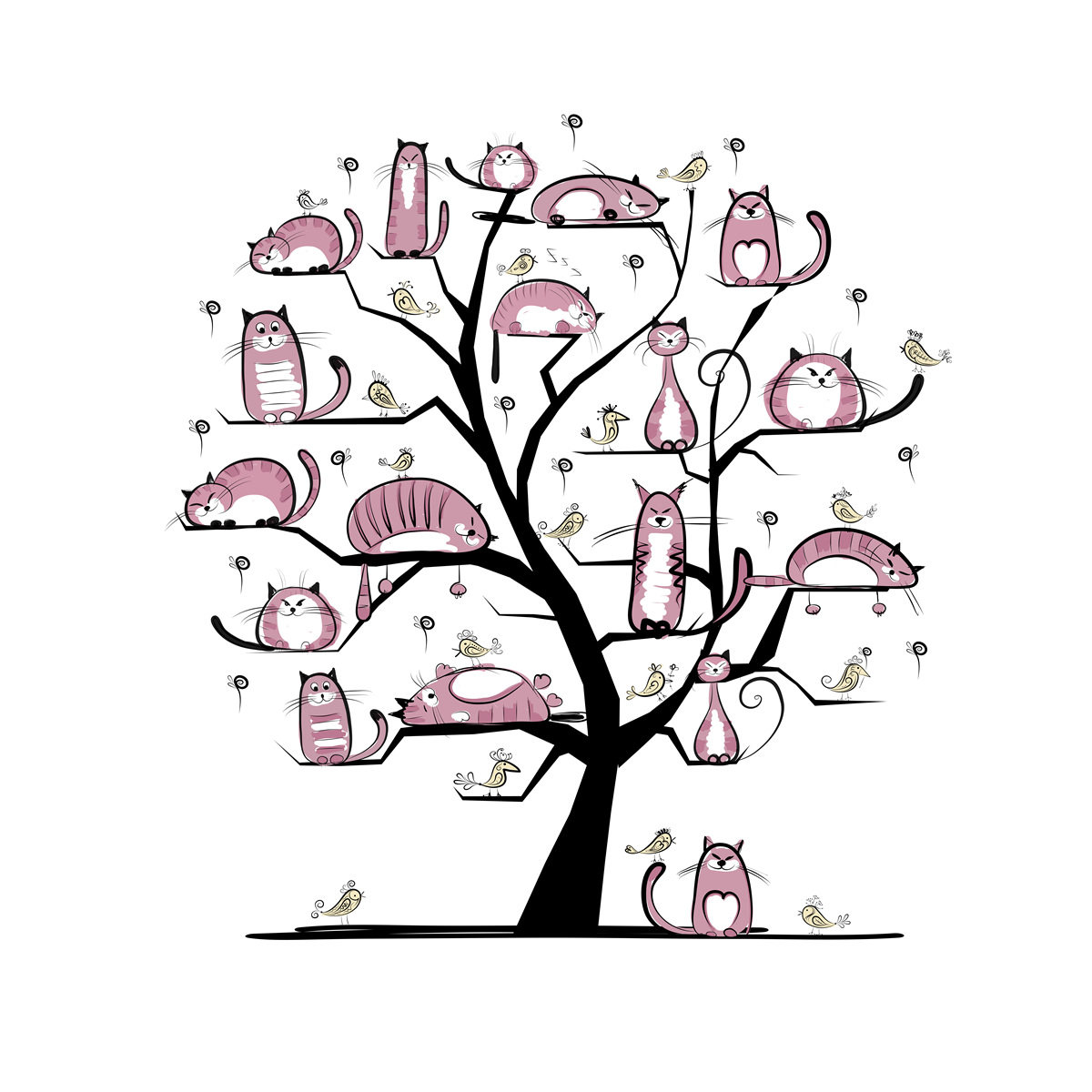 Fototapeten Katze