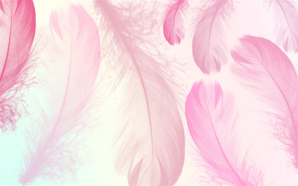 Fototapeten Große Federn mit einem zarten rosa Farbton