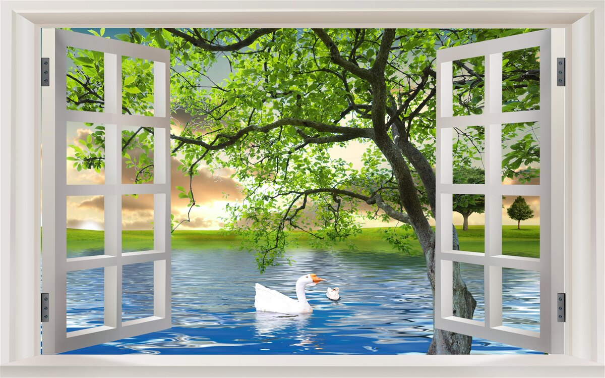 Fototapeten Aus dem Fenster können Sie sehen, wie ein einsamer weißer Schwan auf dem Wasser schwimmt