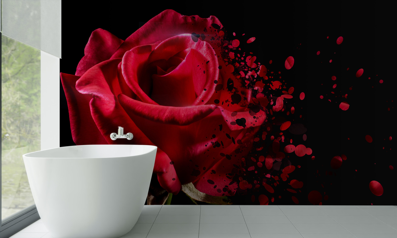 Fototapeten Die rote Rose blüht auf einem schwarzen Hintergrund