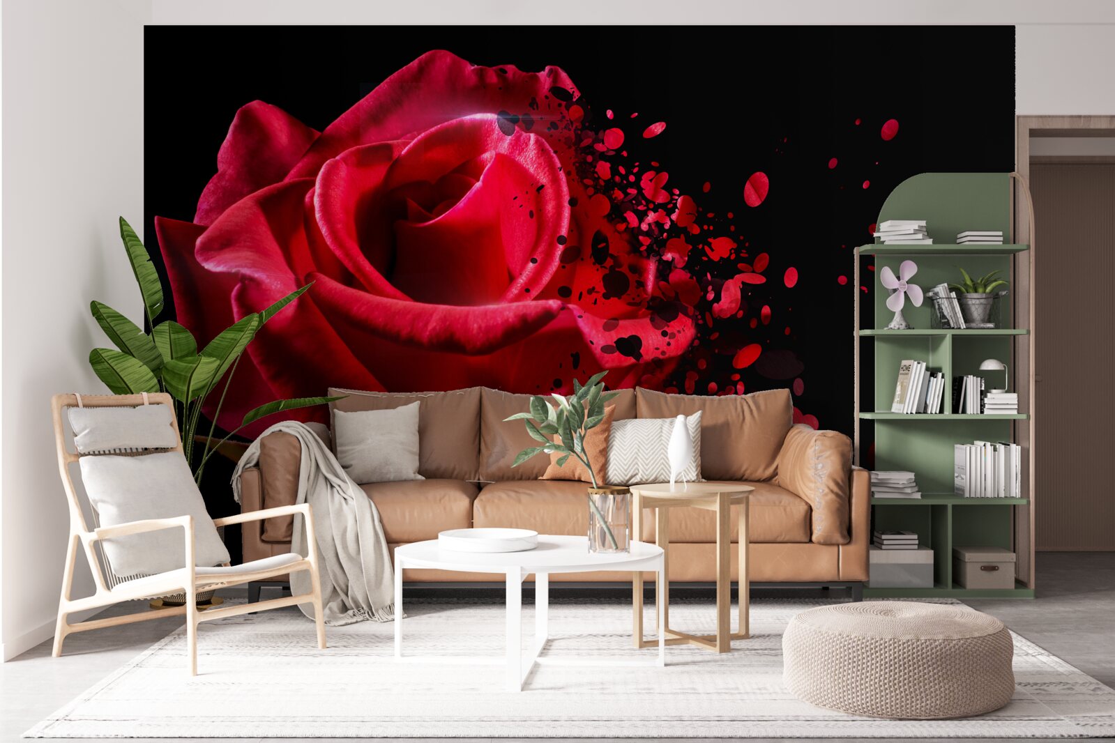 Fototapeten Die rote Rose blüht auf einem schwarzen Hintergrund