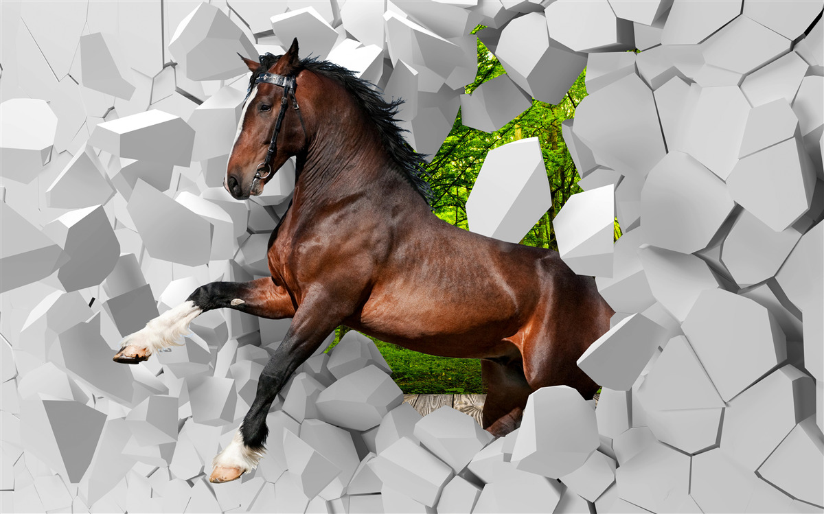 Fototapeten Das braune Pferd überwindet ein Hindernis in Form einer Wand