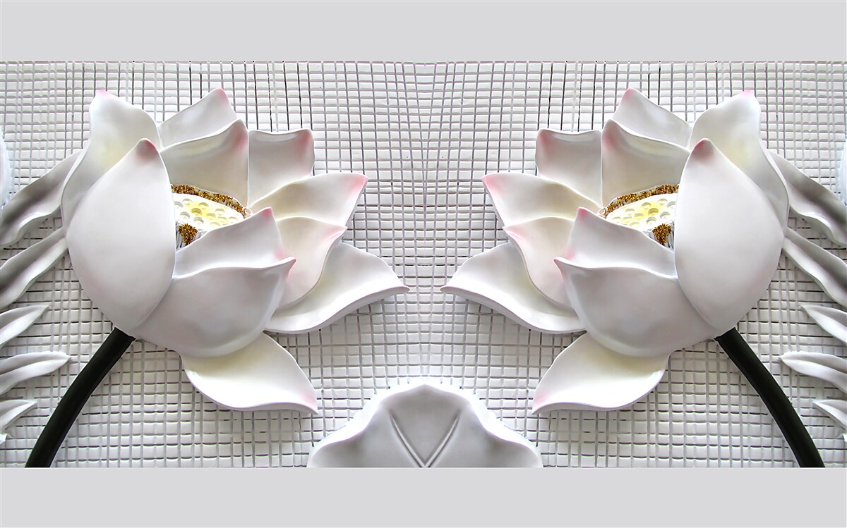 Fototapeten Kisten mit weißem Lotus